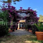 Single family villa via Lividonia Alta, Porto Santo Stefano, Monte Argentario