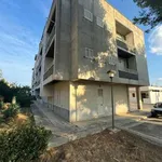 Appartamento con terrazzo Centro