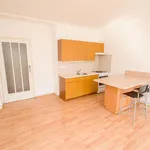 Rent 2 bedroom apartment of 50 m² in Capital City of Prague