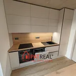 Rent 5 bedroom apartment in Brno