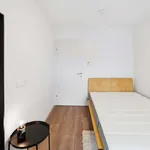 Zimmer von 60 m² in Graz