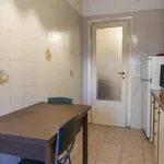 Rent 1 bedroom apartment in rome