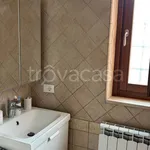 Rent 3 bedroom apartment of 60 m² in Tivoli