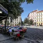 Pronajměte si 1 ložnic/e byt o rozloze 43 m² v Prague