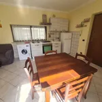 Rent 3 bedroom apartment of 60 m² in Roma