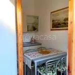 Rent 4 bedroom apartment of 105 m² in Firenze