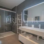 Rent 6 bedroom apartment in Geneva