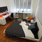 Rent a room in turin