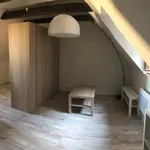 Maison de 33 m² avec 1 chambre(s) en location à Rodez