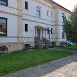 Rent 1 bedroom apartment in Králův Dvůr