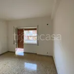 Rent 3 bedroom apartment of 100 m² in Tivoli