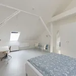 Pronajměte si pokoj o rozloze 113 m² v prague