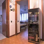 Rent 3 bedroom apartment of 75 m² in Massa