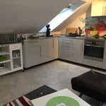 Rent 1 bedroom apartment of 40 m² in Nuremberg