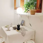 Rent a room in madrid