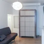 Rent 1 bedroom apartment in Capital City of Prague