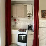 Rent 1 bedroom apartment of 30 m² in Turin