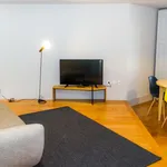 Rent 3 bedroom apartment of 1238 m² in Porto