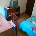 Rent 4 bedroom apartment in Salamanca