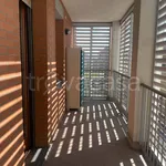 Rent 2 bedroom apartment of 60 m² in Rozzano