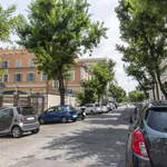 Rent 1 bedroom apartment in rome