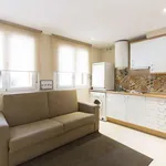 Rent 1 bedroom apartment in madrid