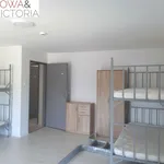 Rent 11 bedroom house of 250 m² in Wałbrzych