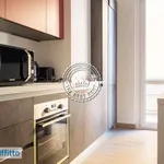 Rent 3 bedroom apartment of 74 m² in Milan