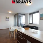 Rent 2 bedroom apartment of 58 m² in Brno