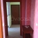 Rent 3 bedroom apartment of 75 m² in Montanaro