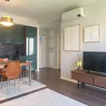 Rent 1 bedroom apartment in lisbon