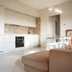 Rent 2 bedroom apartment of 60 m² in Colorno