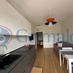 Rent 2 bedroom apartment of 65 m² in Milan