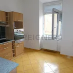 Pronajměte si 1 ložnic/e byt o rozloze 48 m² v Pilsen