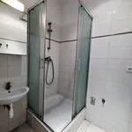 Rent 1 bedroom apartment of 30 m² in Praha