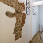 Rent 1 bedroom apartment of 50 m² in Florence