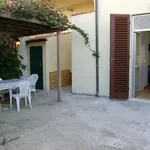 Rent 1 bedroom apartment of 55 m² in Pisa