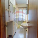 Rent 3 bedroom apartment of 100 m² in Perugia