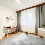 Rent 1 bedroom apartment of 50 m² in Krakow