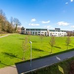 Rollason Way, Brentwood - Amsterdam Apartments for Rent