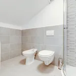 Pronajměte si 1 ložnic/e byt o rozloze 55 m² v Prague