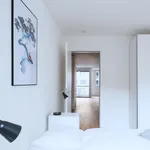 Rent 1 bedroom apartment of 603 m² in Basel