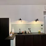 Rent 1 bedroom apartment of 20 m² in rome