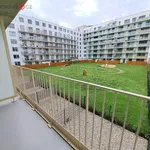 Rent 1 bedroom apartment in Brno