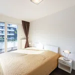 Rent 1 bedroom apartment of 55 m² in Dusseldorf