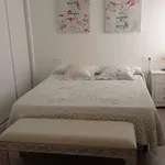 Rent 1 bedroom apartment in Granada