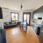 Rent 1 bedroom apartment in Milan