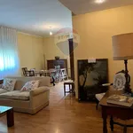 Rent 5 bedroom apartment of 140 m² in Reggio nell'Emilia