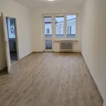 Rent 1 bedroom apartment of 60 m² in Chomutov