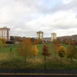 Rent 2 bedroom flat in Sheffield